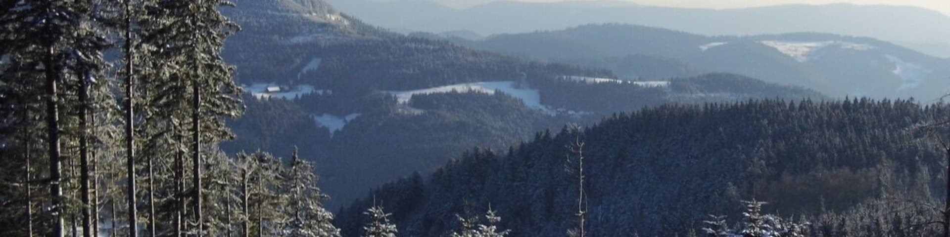 Fernblick über den Schwarzwald