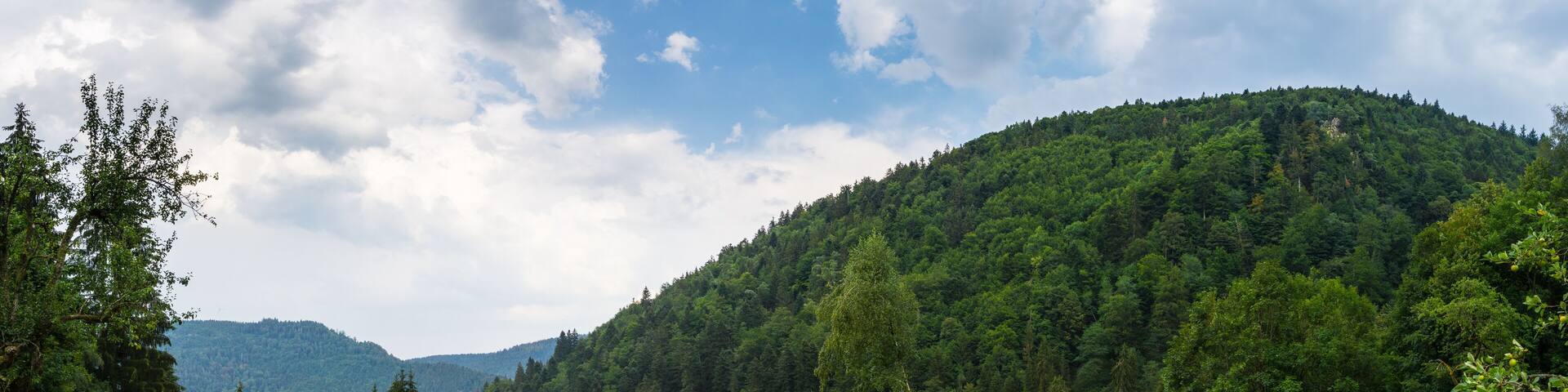 Germany, Black forest hiking panorama near Simonswald in summer