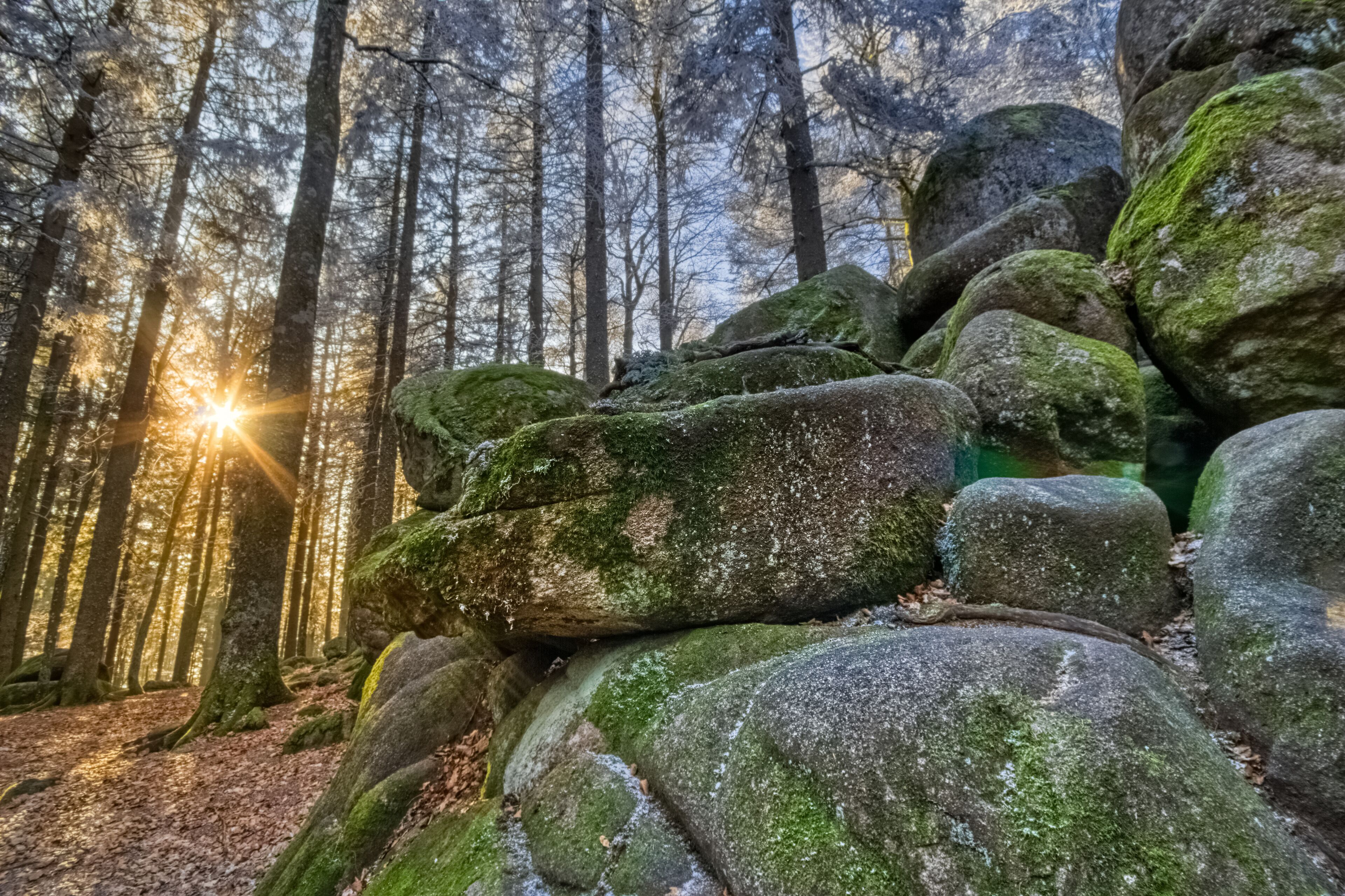 Close by the Guenterfelsen, frozen mossy rocks, the Brend Way, in the Black Forest, Southwest Germany