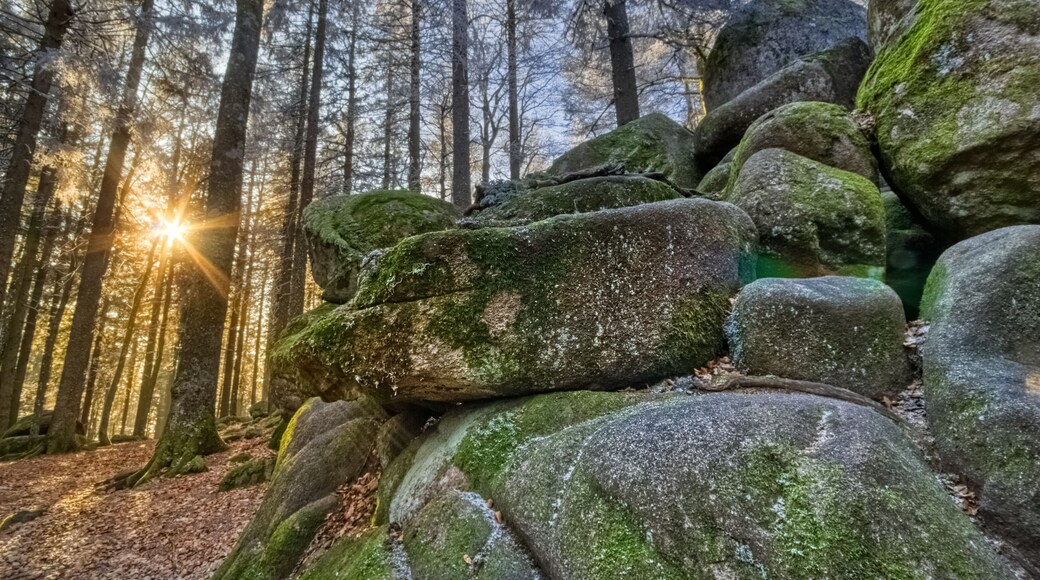 Close by the Guenterfelsen, frozen mossy rocks, the Brend Way, in the Black Forest, Southwest Germany