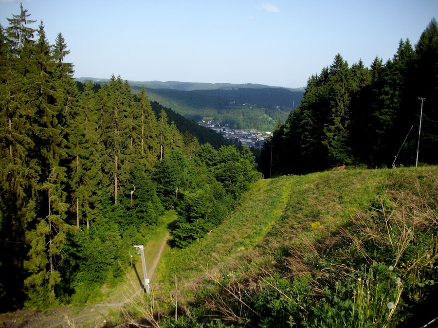 Ein bewaldetes Tal mit freiem Blick auf eine ferne Stadt.