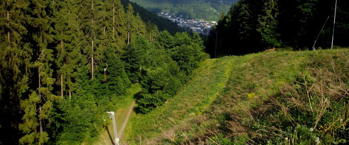 A forested valley with a clear view of a distant town.