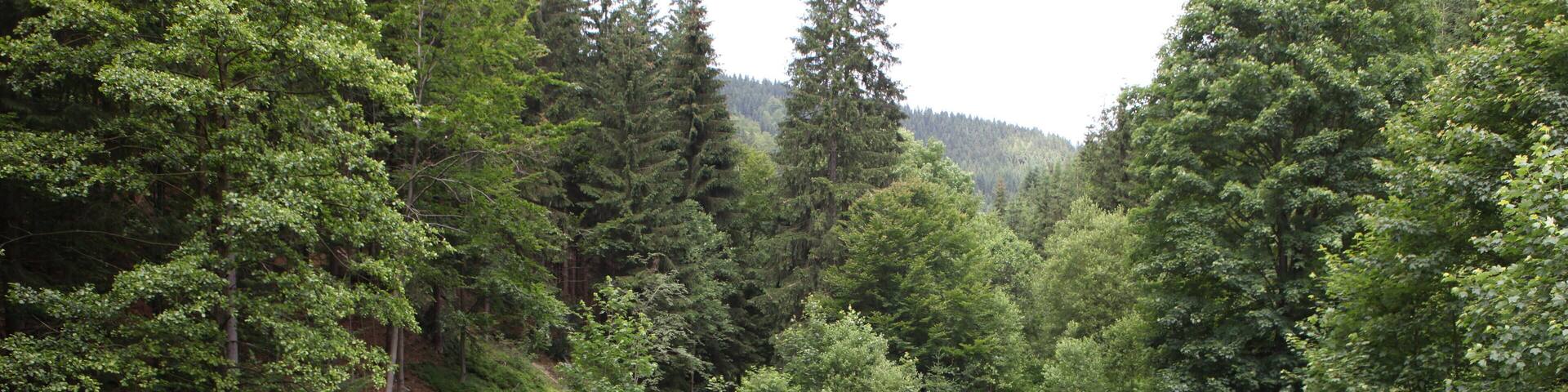 Ehem. Oberer Schutzteich, An der Effelder in Hämmern OT von Frankenblick