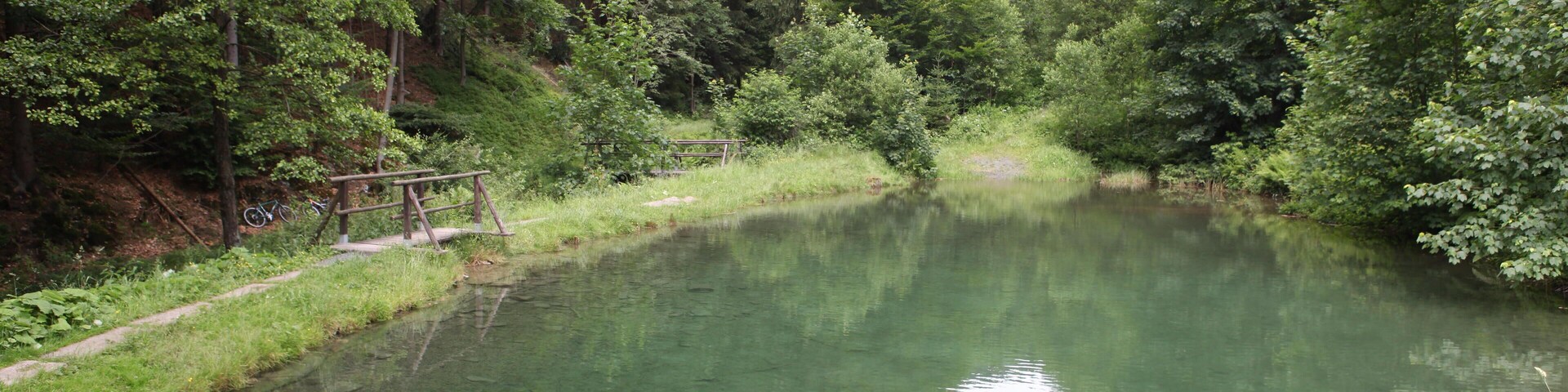 Ehem. Oberer Schutzteich, An der Effelder in Hämmern OT von Frankenblick