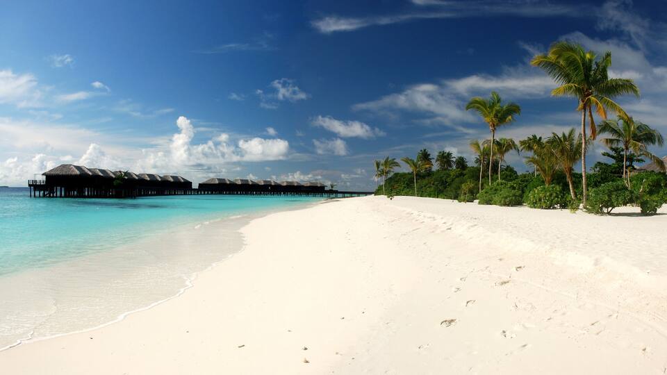 A white sandy beach with clear turquoise water, palm trees, and overwater bungalows.