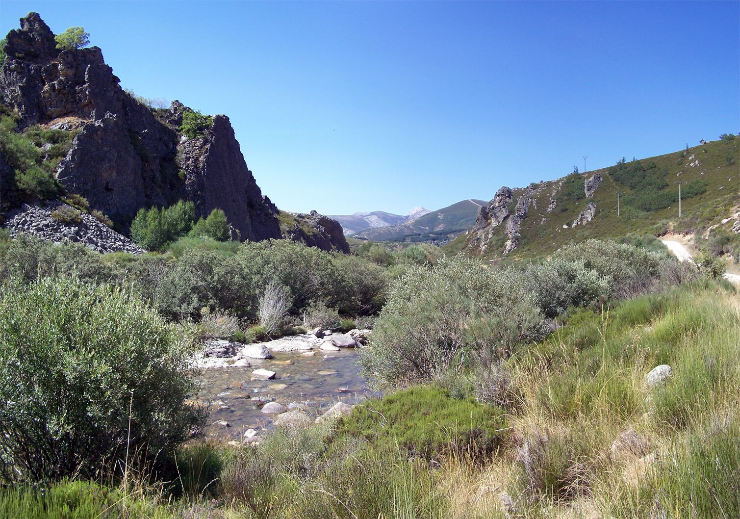 A river flowing through a rocky canyon with sparse vegetation and distant mountains.