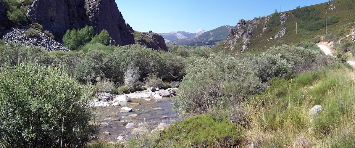 A river flowing through a rocky canyon with sparse vegetation and distant mountains.