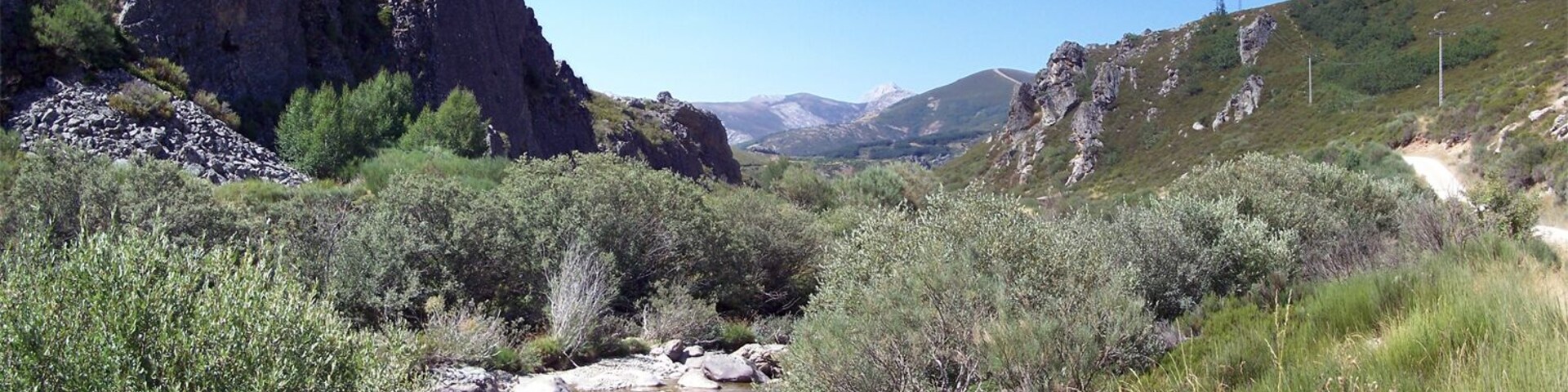 A river flowing through a rocky canyon with sparse vegetation and distant mountains.