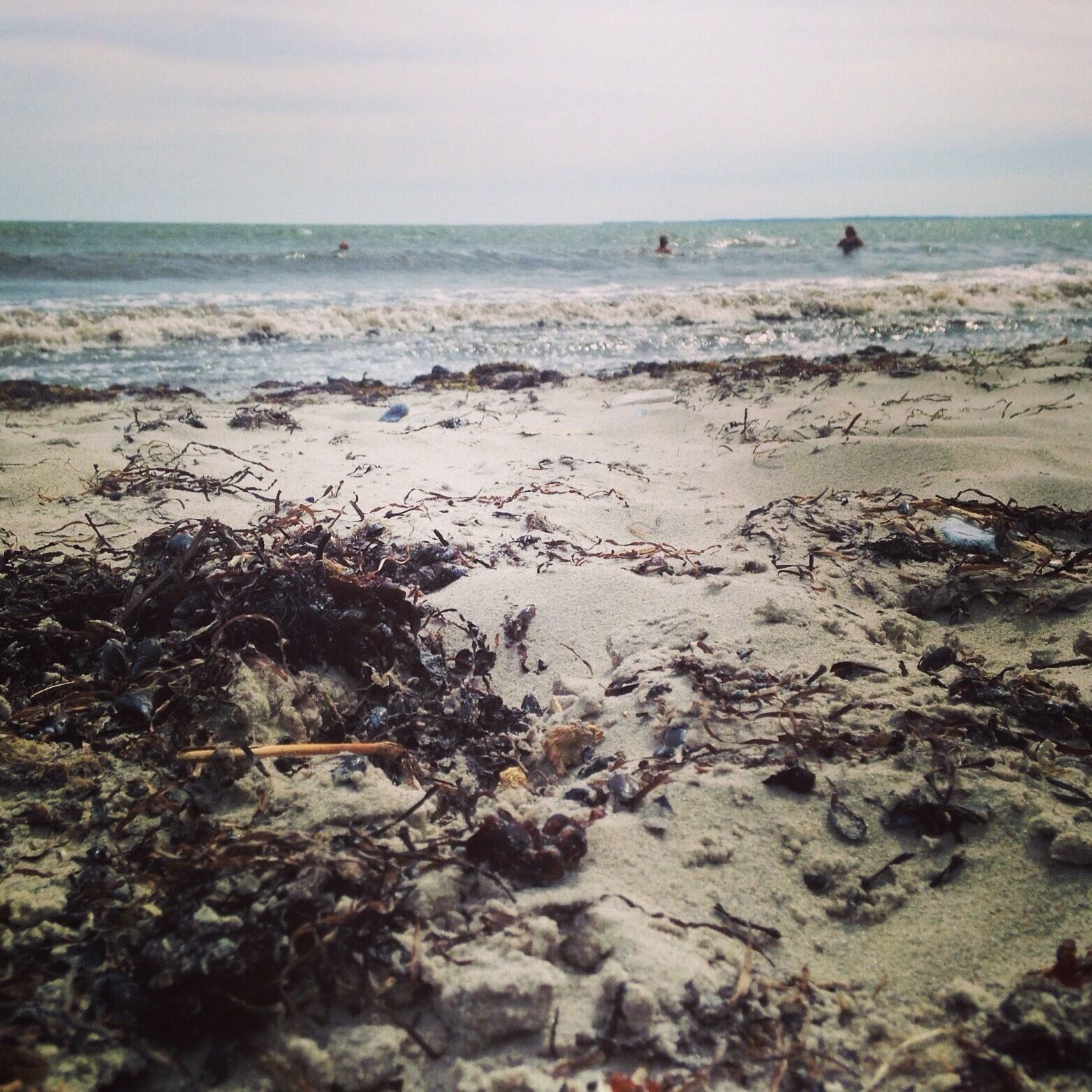Went to this beach every year growing up. Never crowded, always treasures to find. Love this little piece of Danish coastline 😊 #beach
