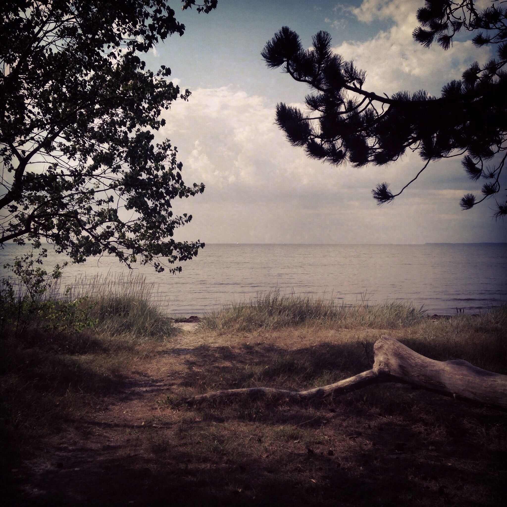 Favorite beach in the world ❤️ #beach