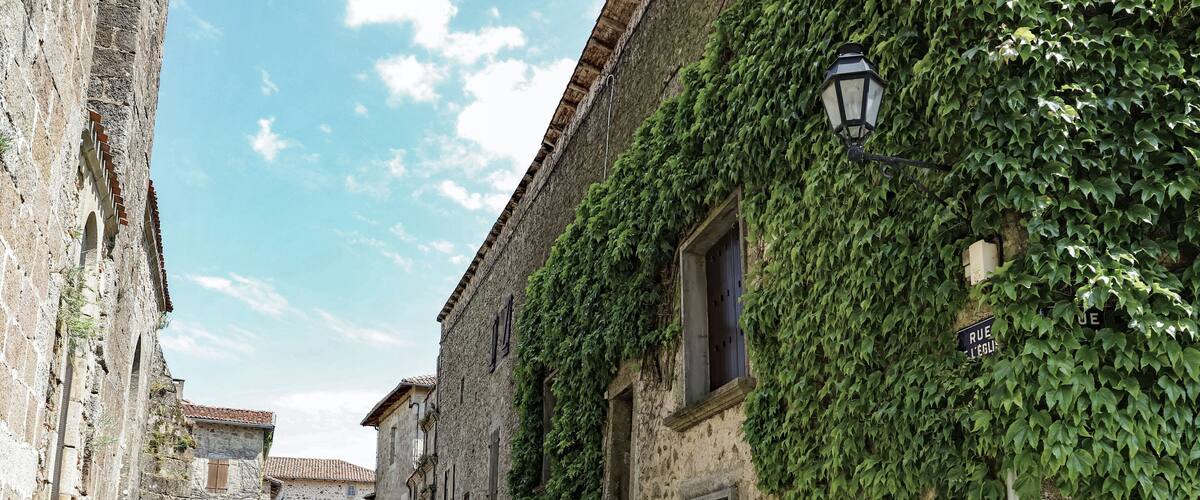 A cobblestone street flanked by historic stone buildings with ivy-covered walls and a street lamp.