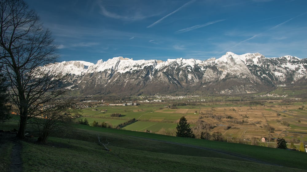 Ein verschneites Gebirge, ein Tal mit Feldern und ein Baum im Vordergrund.