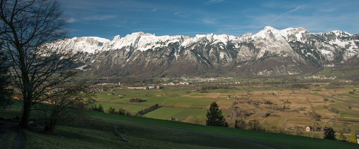 A snow-capped mountain range, a valley with fields, and a tree in the foreground.