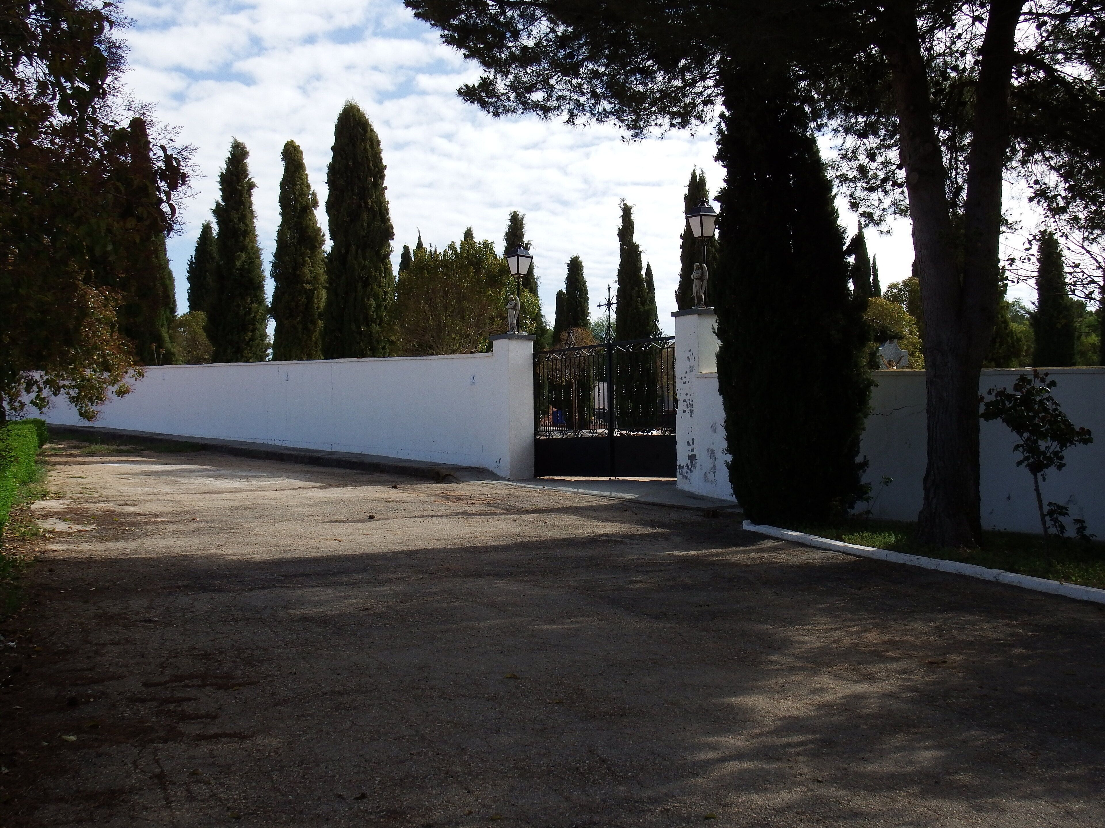 A gated driveway with tall trees and a white wall.