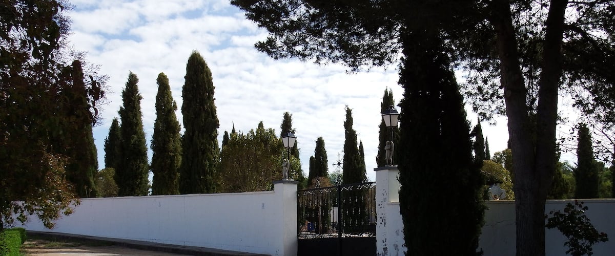 A gated driveway with tall trees and a white wall.