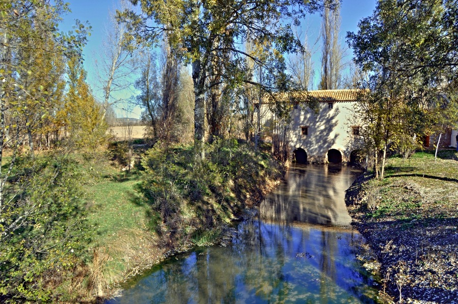El "Molino del Blanco", que no tengo claro si se encuentra en el término municipal de Villaescusa de Haro o de Carrasosa de Haro (ambos en la provincia de Cuenca), está en la ribera del río Záncara y ya aparece referenciado como tal en la relación de cañadas reales de Felipe II. Está perfectamente conservado, y es uno de los pocos molinos harineros de agua que aún siguen en funcionamiento en España. El abuelo José fue propietario de una tercera parte del molino, desde la primera mitad de los años 30 hasta los años 50, época en que vendieron su parte y se marcharon a Socuéllamos (Ciudad Real). Alguna foto de esa época, recogida en este álbum, está tomada en el Molino del Blanco. El 23 de noviembre de 2008 estuvimos en el Molino del Blanco y nos atendió el actual dueño (yerno de la persona que le compró al abuelo la tercera parte que tenía). Es un hombre tremendamente amable, que está haciendo un esfuerzo muy importante para que el molino siga funcionando, y que recordaba perfectamente a papá, al tío Ángel y al tío Santos. Nos enseñó con todo detalle y cariño el molino, y nos invitó a volver siempre que quisiéramos. La verdad es que consiguió que volviéramos de la visita con un sentimiento muy entrañable. También contribuyó a esta sensación un señor que estaba por allí y que nos contó algunas historias de cuando hizo "la mili" con papá en Albacete. Aquí quedan las fotos de esta visita... rq