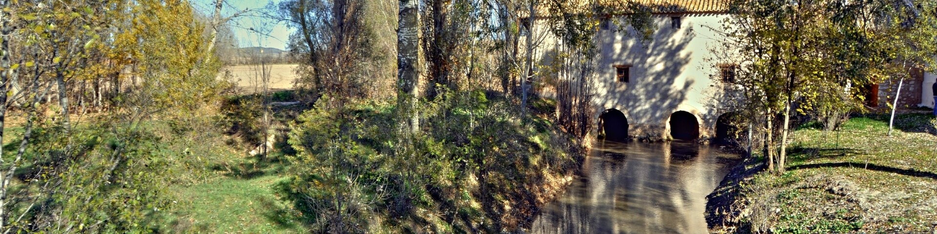El "Molino del Blanco", que no tengo claro si se encuentra en el término municipal de Villaescusa de Haro o de Carrasosa de Haro (ambos en la provincia de Cuenca), está en la ribera del río Záncara y ya aparece referenciado como tal en la relación de cañadas reales de Felipe II. Está perfectamente conservado, y es uno de los pocos molinos harineros de agua que aún siguen en funcionamiento en España. El abuelo José fue propietario de una tercera parte del molino, desde la primera mitad de los años 30 hasta los años 50, época en que vendieron su parte y se marcharon a Socuéllamos (Ciudad Real). Alguna foto de esa época, recogida en este álbum, está tomada en el Molino del Blanco. El 23 de noviembre de 2008 estuvimos en el Molino del Blanco y nos atendió el actual dueño (yerno de la persona que le compró al abuelo la tercera parte que tenía). Es un hombre tremendamente amable, que está haciendo un esfuerzo muy importante para que el molino siga funcionando, y que recordaba perfectamente a papá, al tío Ángel y al tío Santos. Nos enseñó con todo detalle y cariño el molino, y nos invitó a volver siempre que quisiéramos. La verdad es que consiguió que volviéramos de la visita con un sentimiento muy entrañable. También contribuyó a esta sensación un señor que estaba por allí y que nos contó algunas historias de cuando hizo "la mili" con papá en Albacete. Aquí quedan las fotos de esta visita... rq
