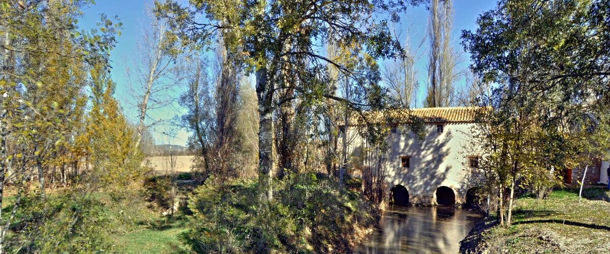 A river flowing through a park with trees and a building with arches.