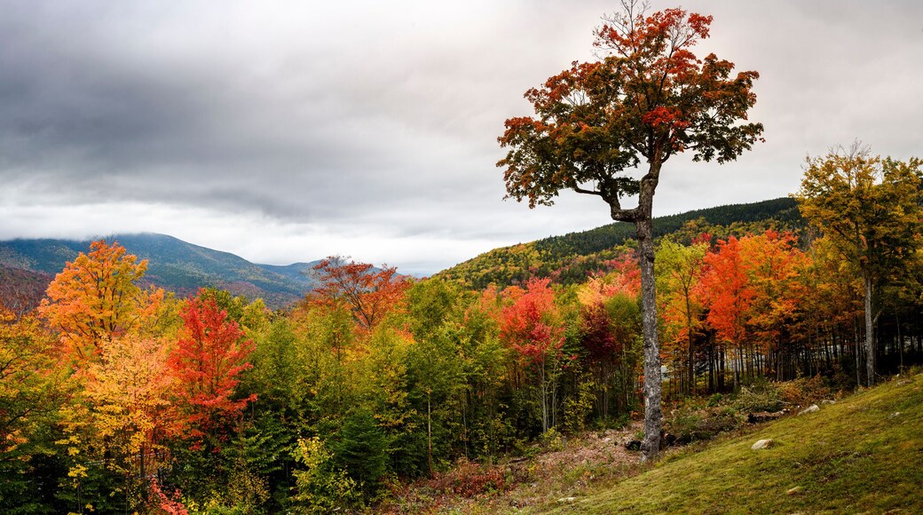 Hancoock overlook on Kancamagus highway during fall foliage season