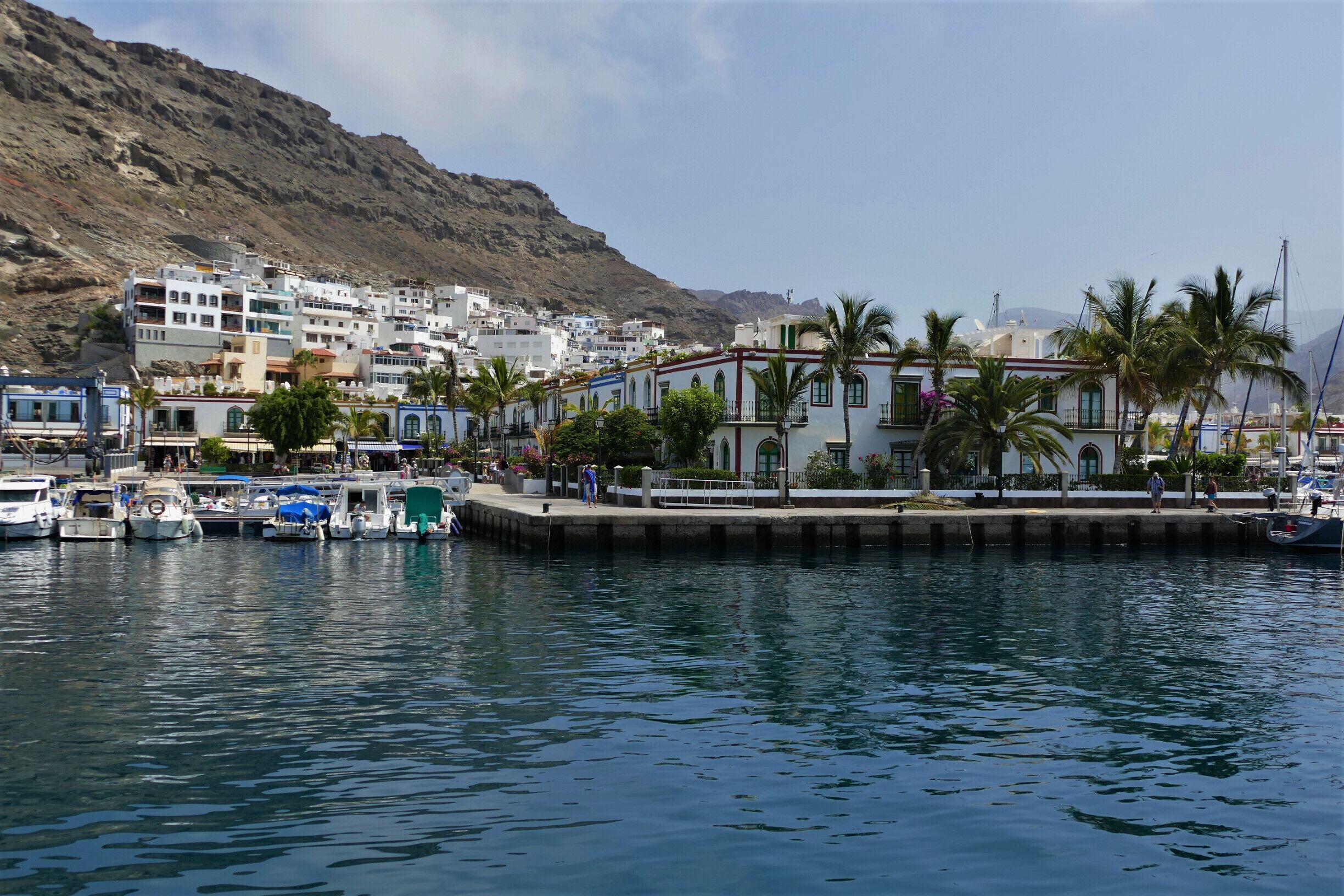 A coastal town with white buildings, a marina with boats, and palm trees.