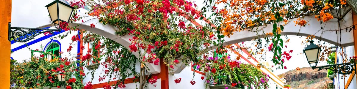 A narrow street with white buildings, green shutters, and vibrant bougainvillea flowers.