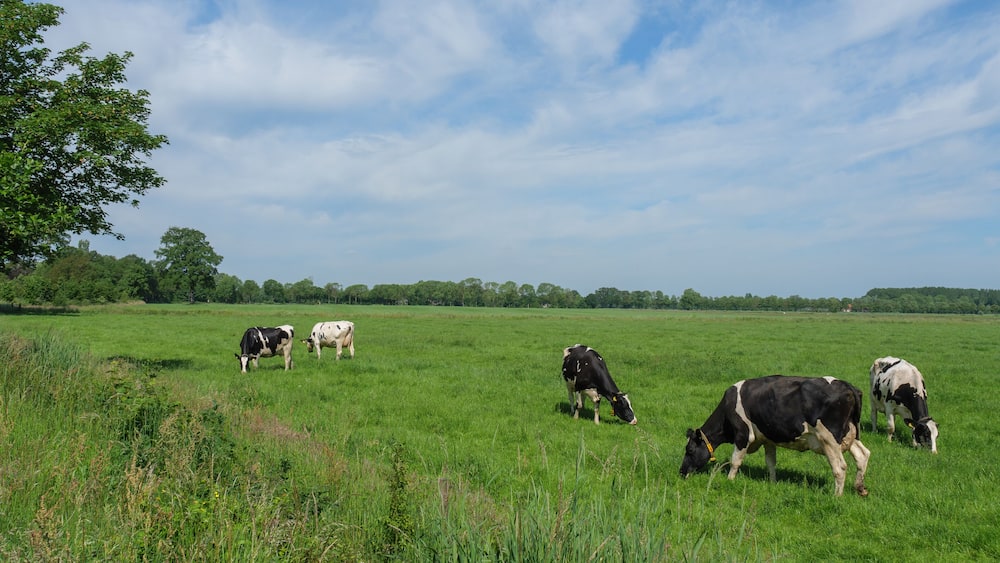 Lichtenvoorde in den Niederlanden