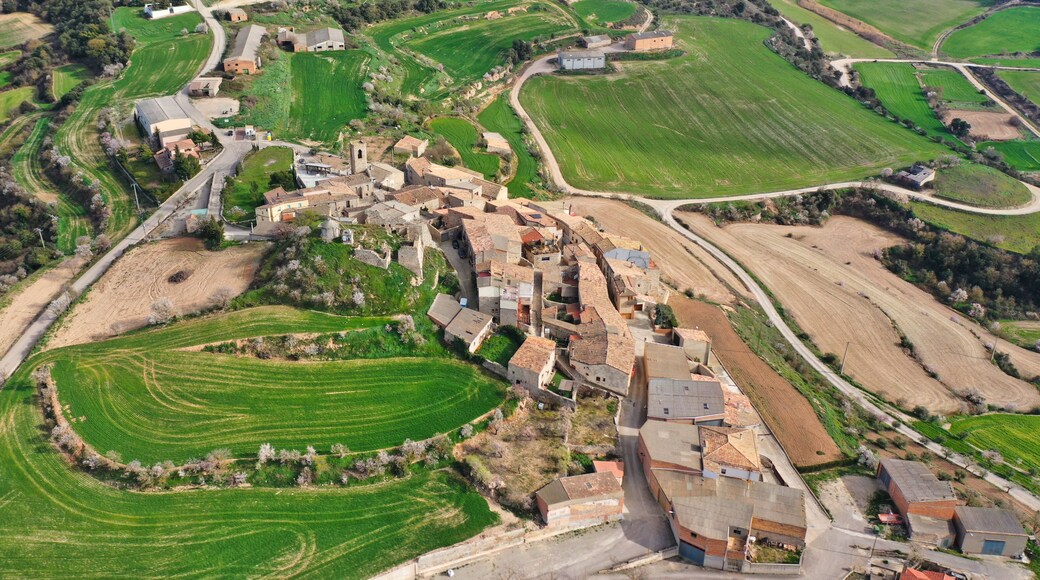 An aerial view of a rural village with terraced fields, traditional houses, and a central church.