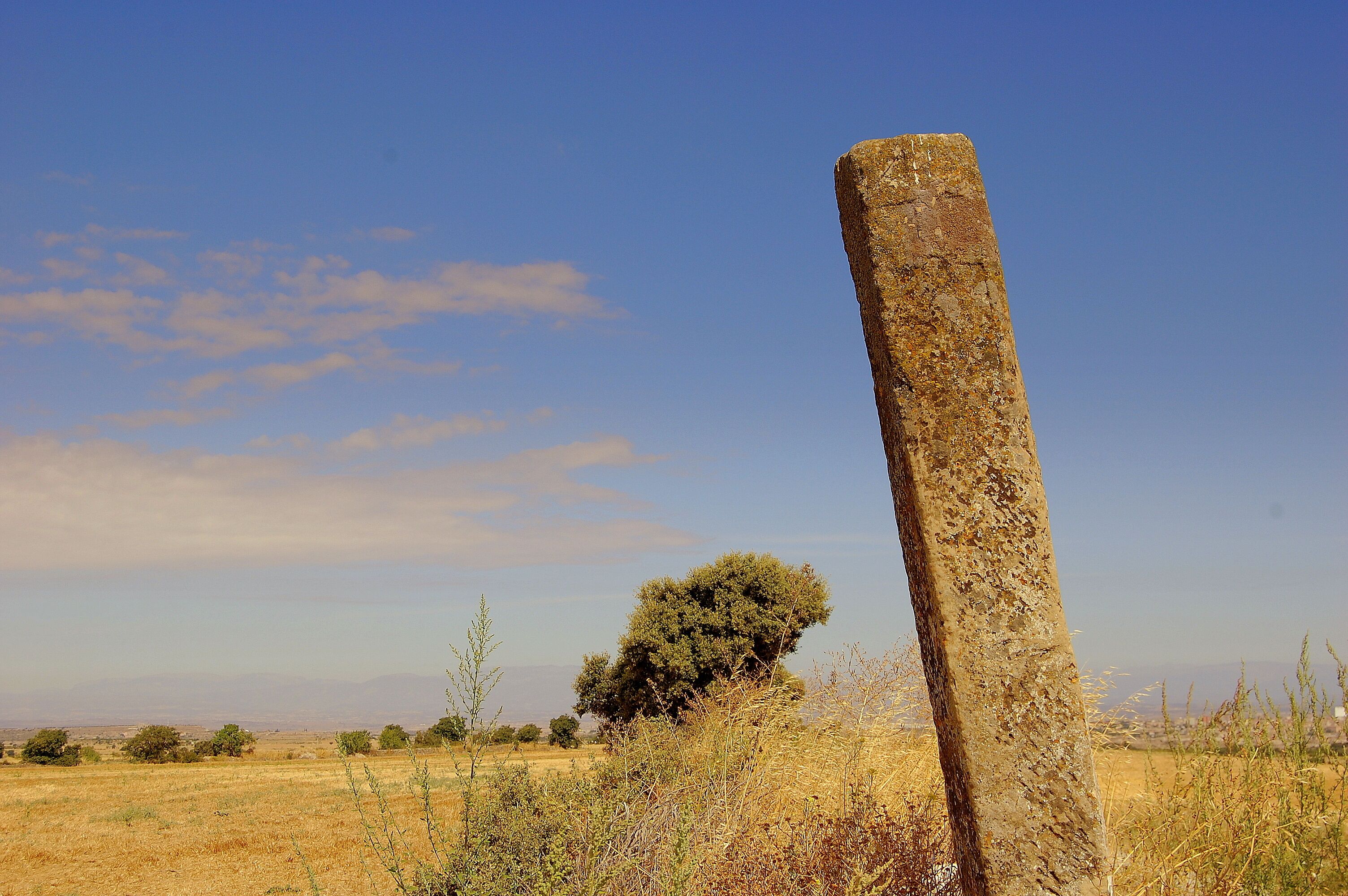 Fita de terme (Ribera d'Ondara)