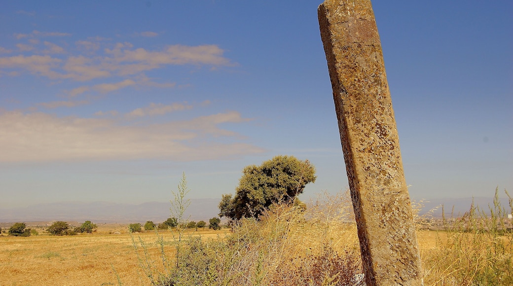 Fita de terme (Ribera d'Ondara)