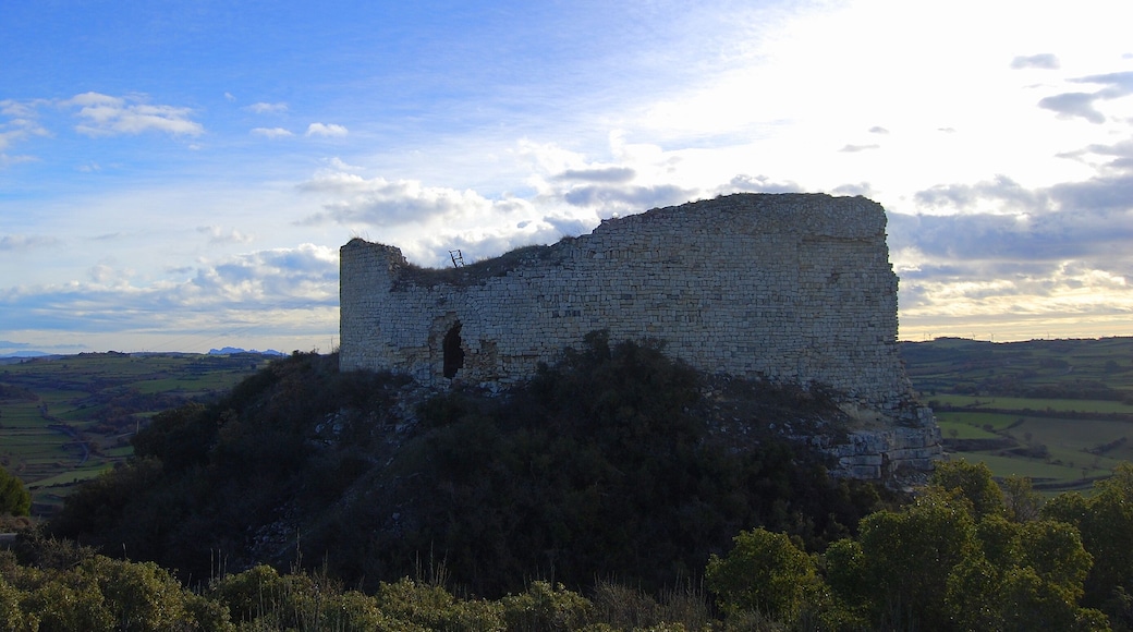 Castell de la Guàrdia Lada (Montoliu de Segarra)