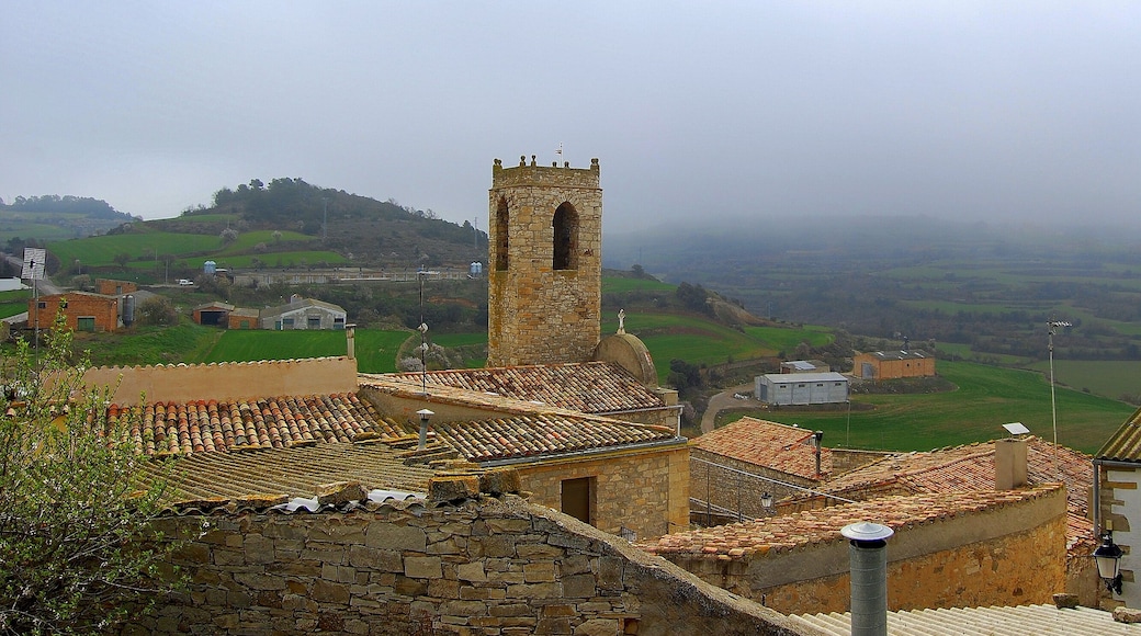 Església parroquial de Sant Salvador de Montoliu de Segarra (Montoliu de Segarra)