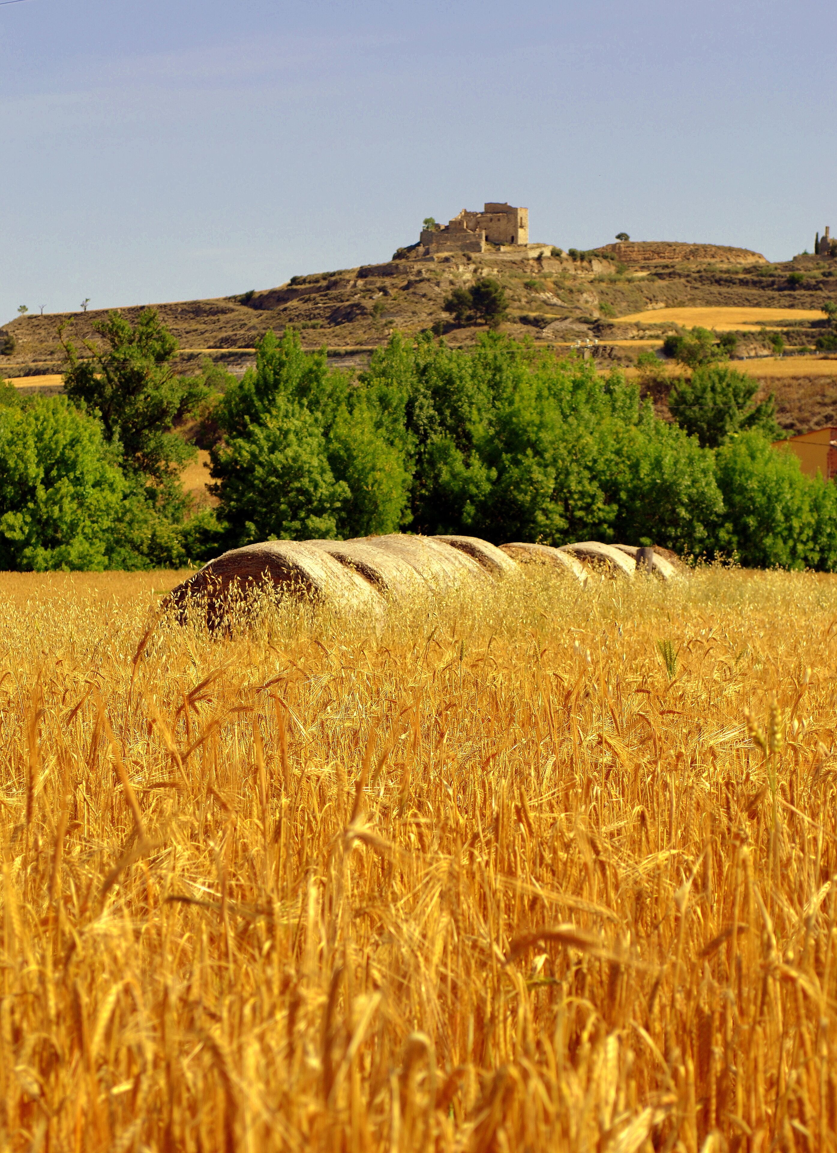 Castell de Timor (Ribera d'Ondara)