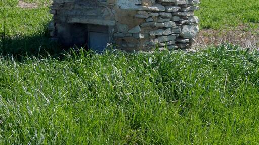 Pou Vell (Ribera d'Ondara)