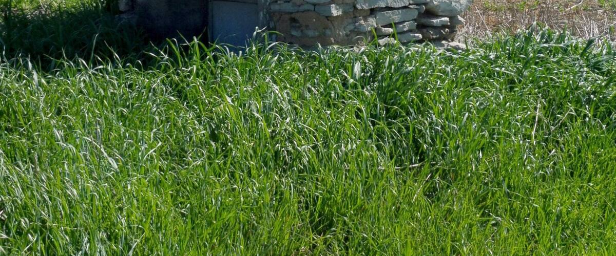A stone structure in a grassy field.