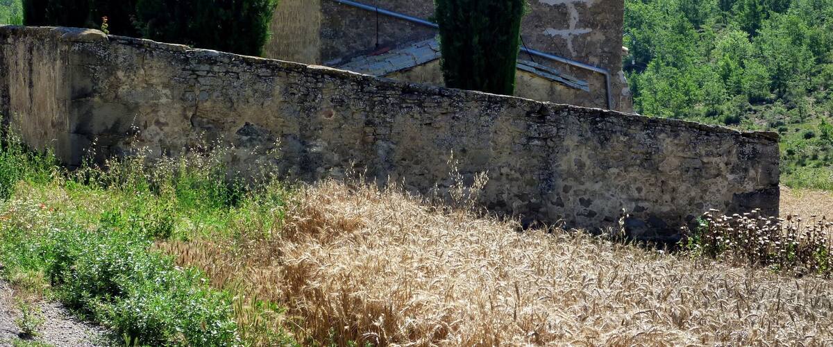 Capella de Cal Sala de Vallmanya (Pinós): des del nord