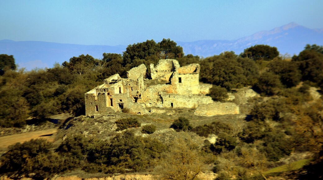 Mont-ros (Sant Ramon)