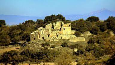 Mont-ros (Sant Ramon)