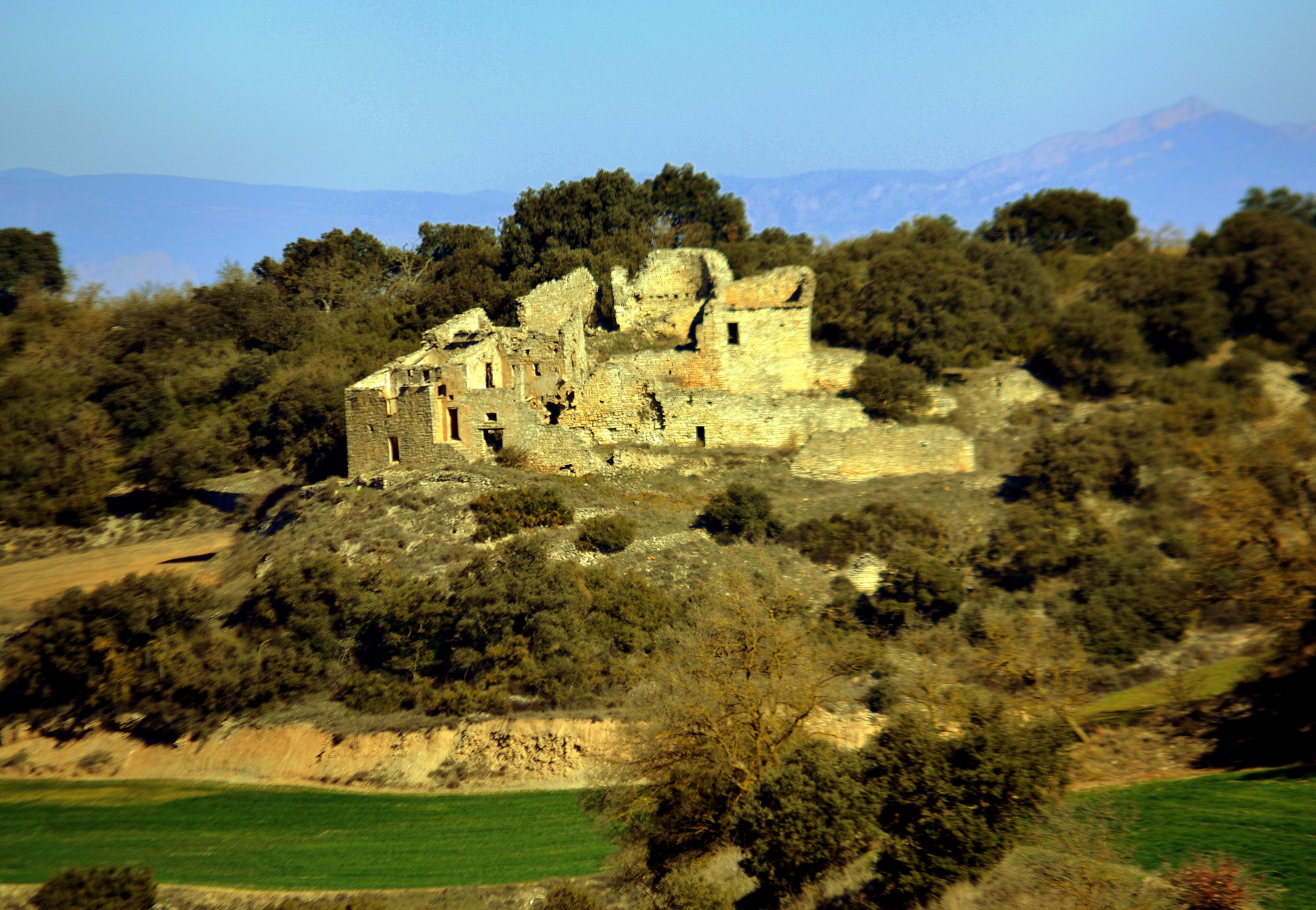 An ancient stone castle on a hill surrounded by trees and fields.
