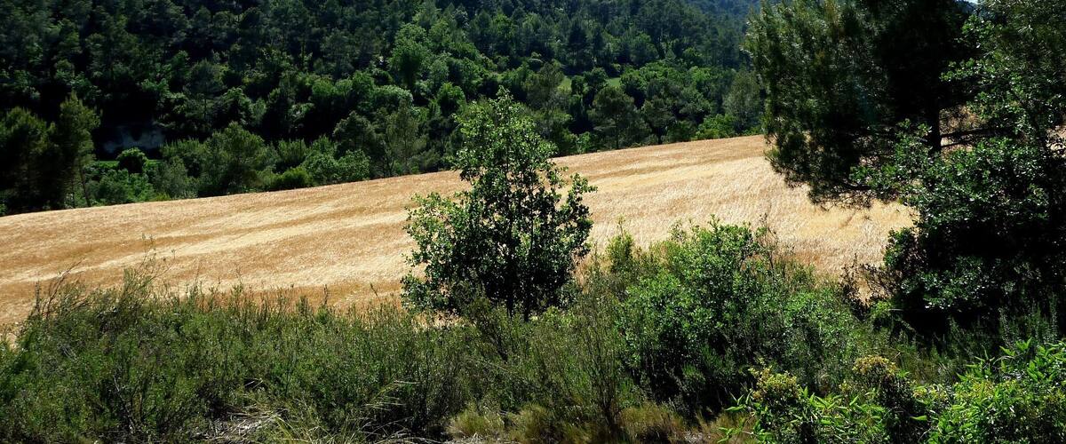 This is a a photo of a natural area in Catalonia, Spain, with id: