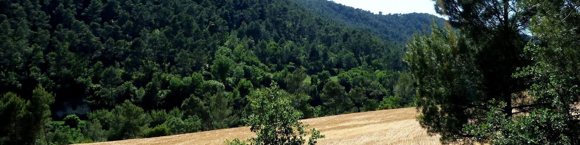 This is a a photo of a natural area in Catalonia, Spain, with id: