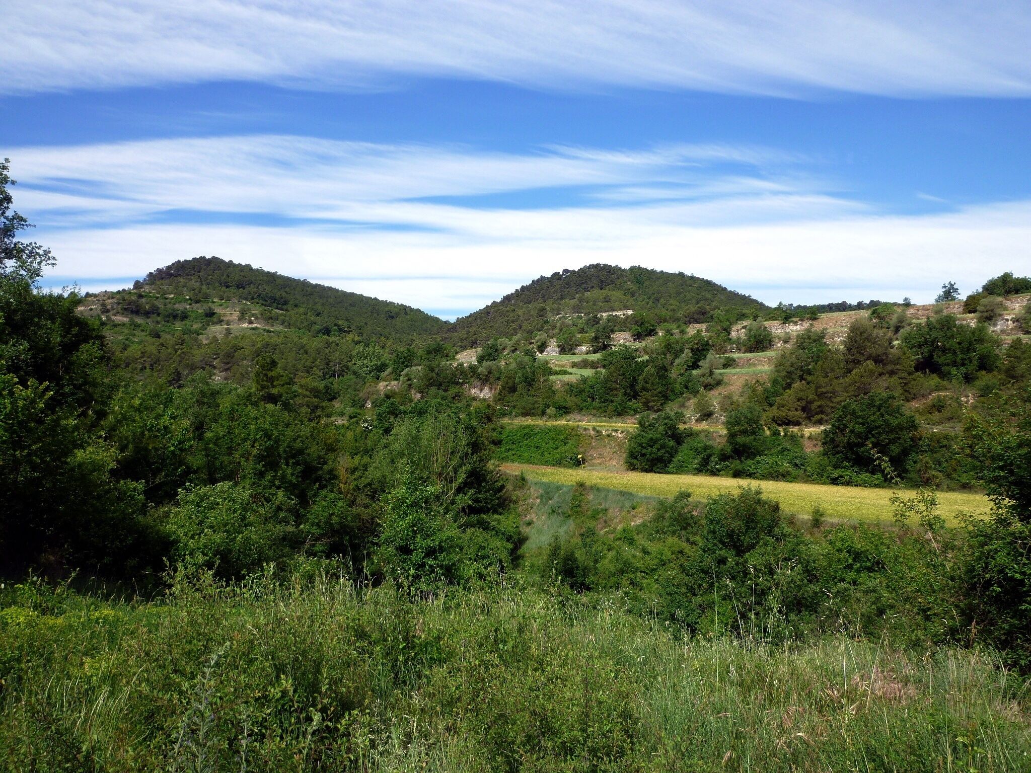 This is a a photo of a natural area in Catalonia, Spain, with id: