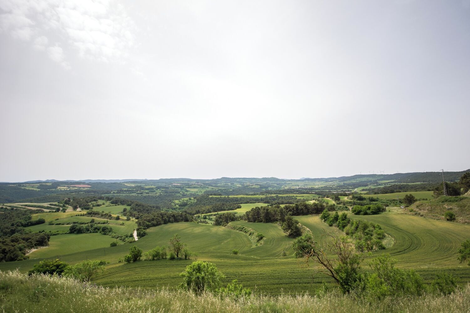 Camps a ponent d'Aguiló (Anoia)