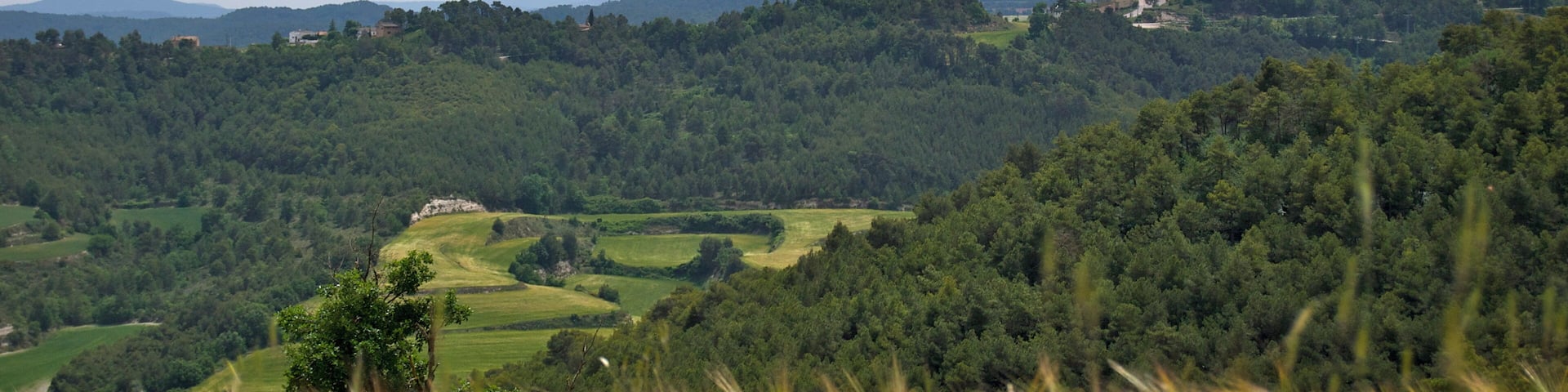 Argençola des de Carbasí (Anoia)