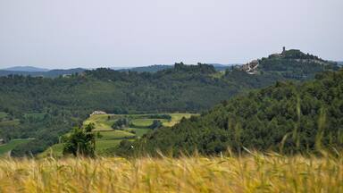 A hilltop with a castle, surrounded by lush greenery and rolling hills.