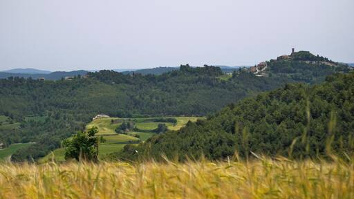 Argençola des de Carbasí (Anoia)