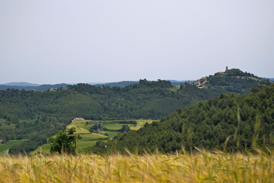 Argençola des de Carbasí (Anoia)
