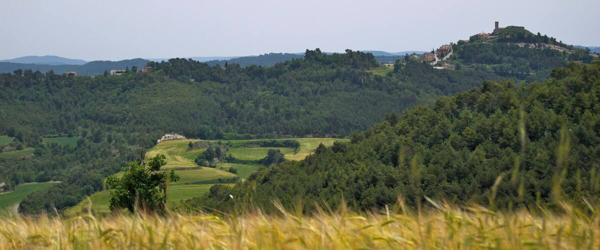 A hilltop with a castle, surrounded by lush greenery and rolling hills.