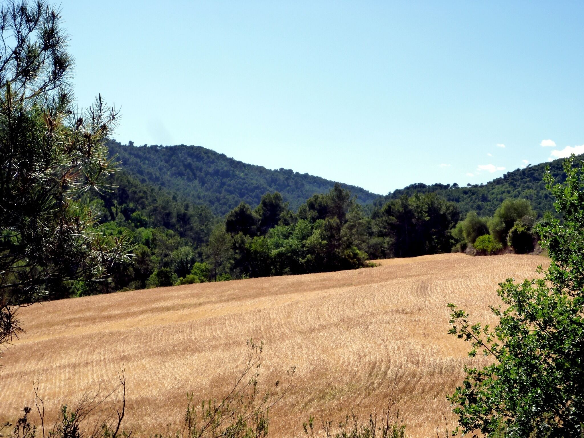 This is a a photo of a natural area in Catalonia, Spain, with id: