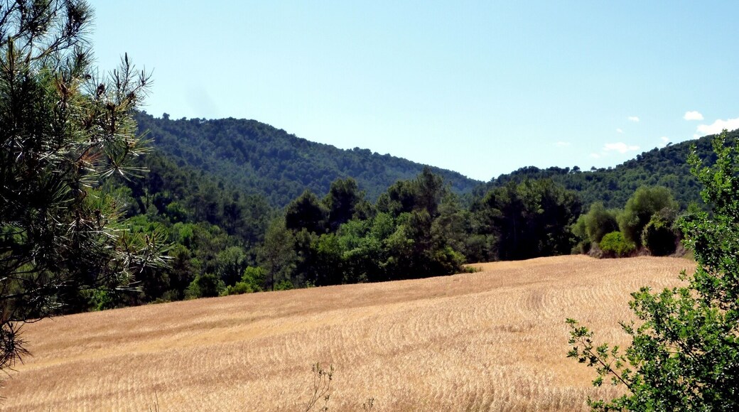 This is a a photo of a natural area in Catalonia, Spain, with id: