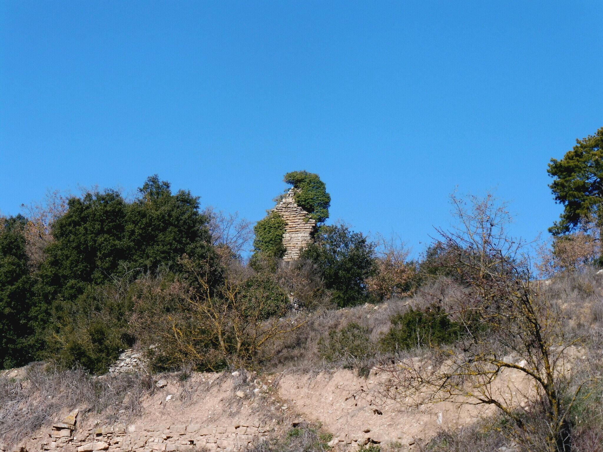 Castell de Montesquiu (Pujalt) This is a photo of a monument indexed in the Spanish heritage register of Bienes de Interés Cultural under the reference RI-51-0005610.